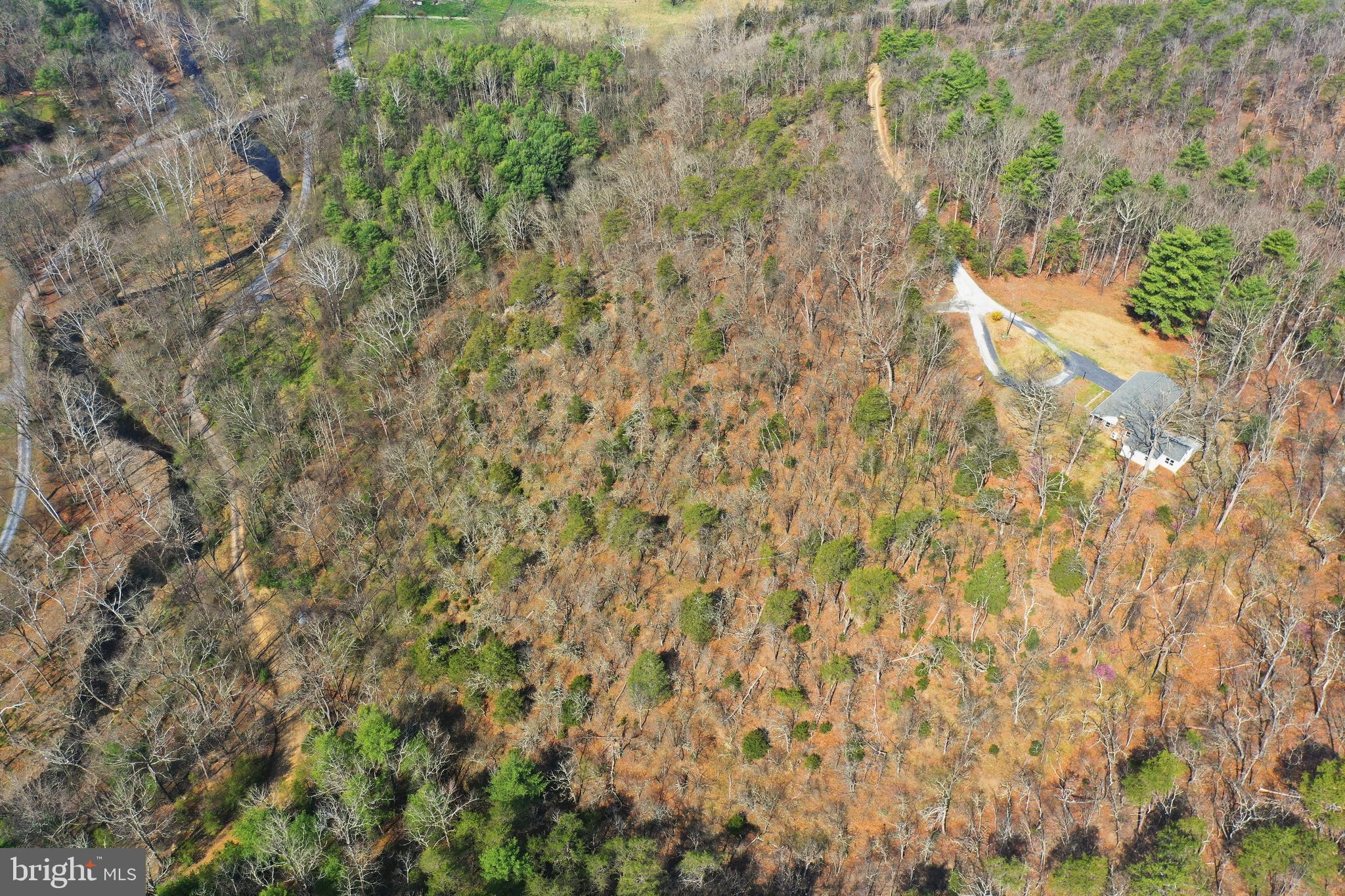 1310 Siler Road Winchester, VA 22603 - Photo 43 of 52