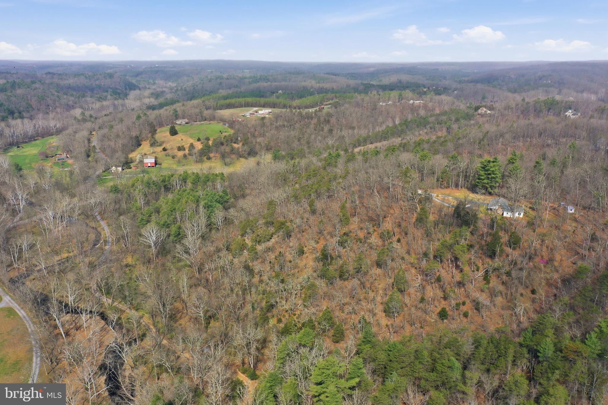 1310 Siler Road Winchester, VA 22603 - Photo 46 of 52