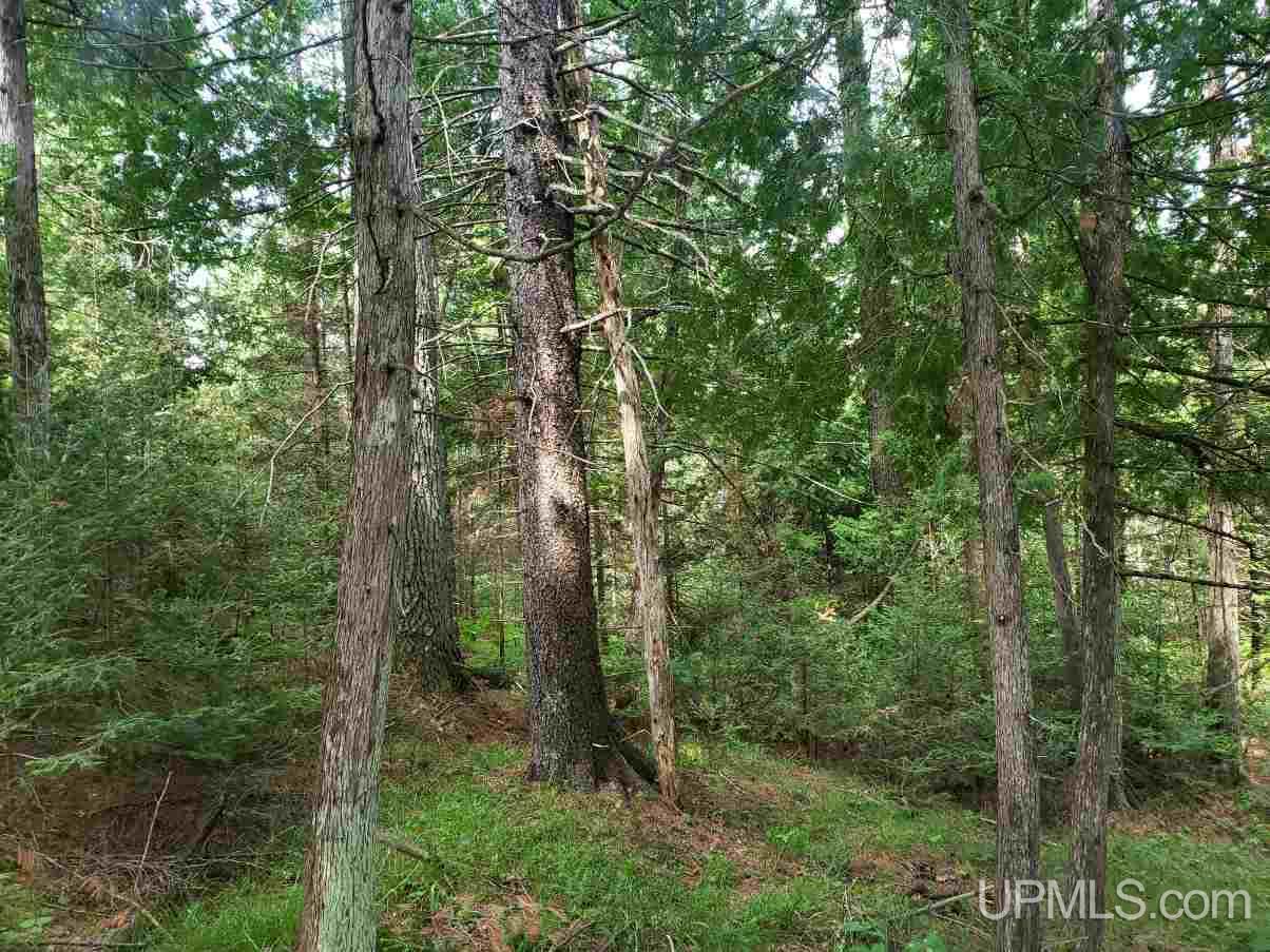 Tbd Tbd Leeman Road Felch, MI 49831 - Photo 3 of 8