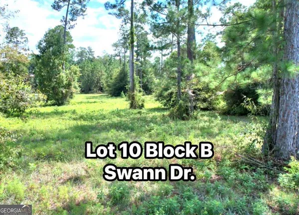 $22,900 | Tbd Swann Dr Lot 10 Block B, Cordele, GA 31015