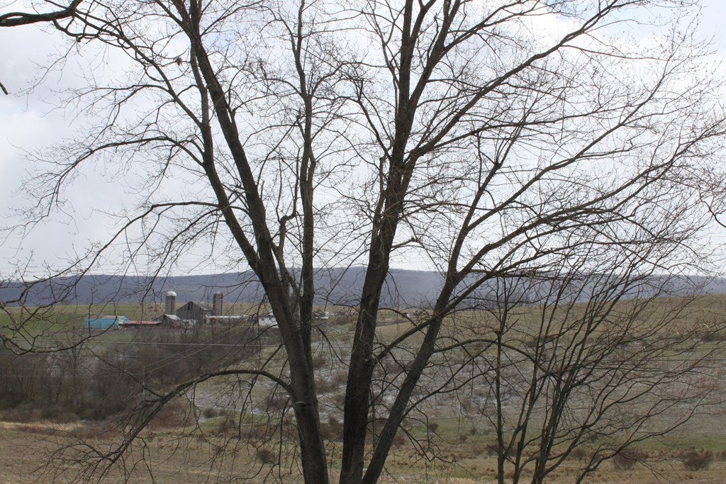 1849 Pinchot Road Saxton, PA 16678 - Photo 29 of 48 Gallery Image 29