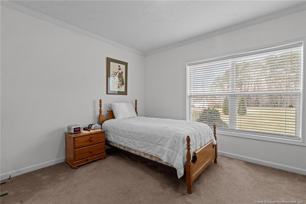 4194 Abattoir Road Angier, NC 27501 - Photo 26 of 50 a spacious bedroom with a bed and a window