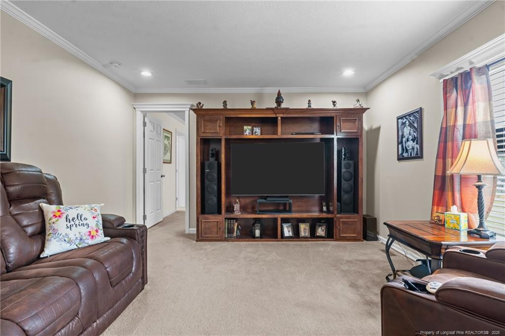 4194 Abattoir Road Angier, NC 27501 - Photo 31 of 50 a living room with furniture and a flat screen tv