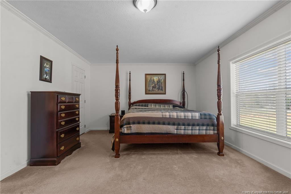 4194 Abattoir Road Angier, NC 27501 - Photo 38 of 50 a bedroom with a bed and a cabinets