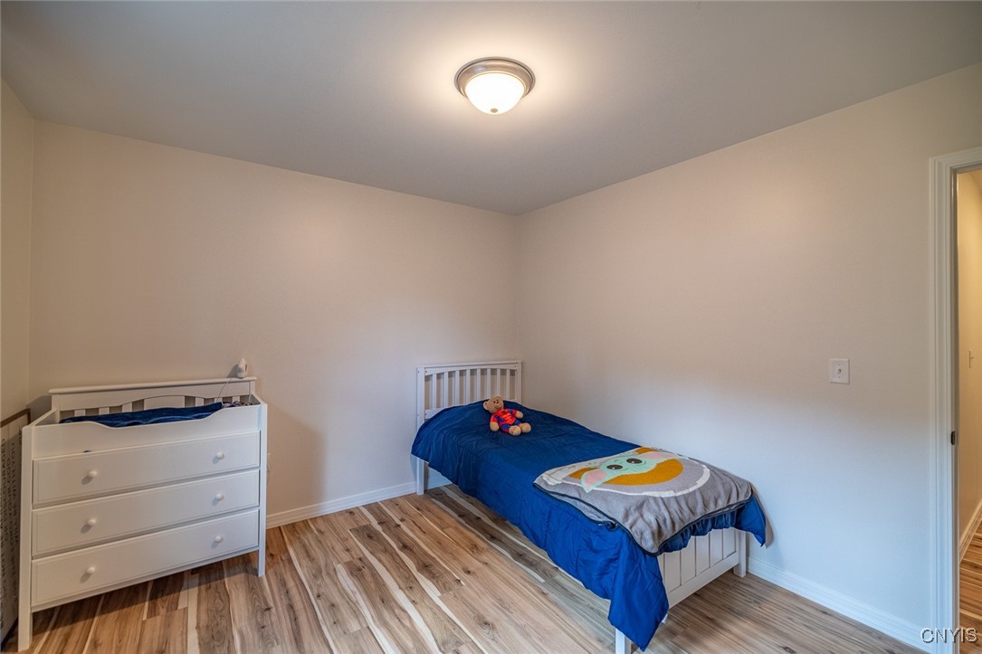 373 Brutus Road Elbridge, NY 13080 - Photo 29 of 47