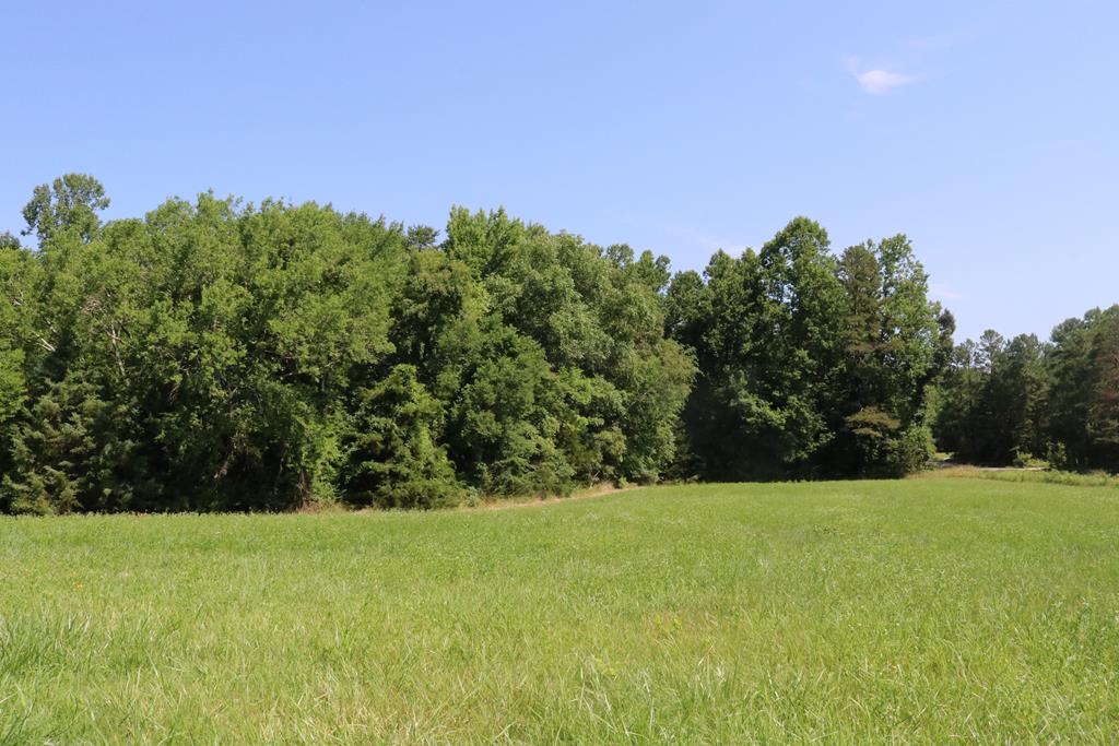 386 Ligontown Road Farmville, VA 23901 - Photo 29 of 29 Gallery Image 29