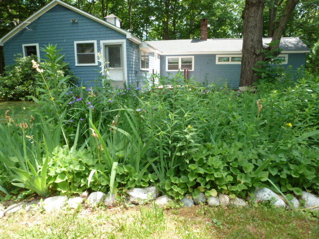 54 Overlook Road Windham, ME 04062 - Photo 41 of 50 P1120238