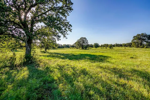 a view of a grassy area with an trees