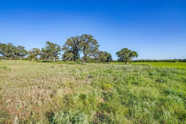 a view of a big yard with large trees