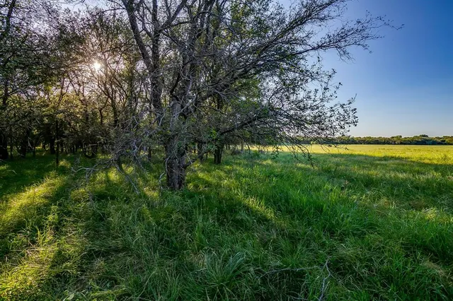 a view of an outdoor space and a yard