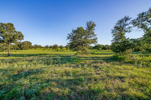 a view of a grassy area with an trees