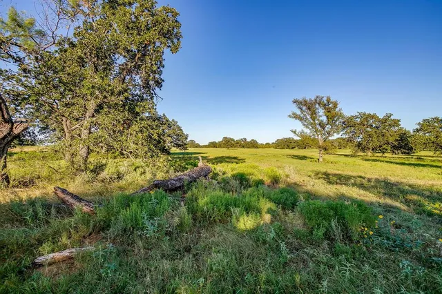 a view of an ocean from a yard
