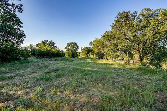 a view of a field with grass and trees