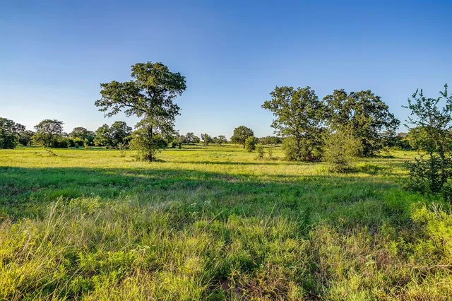 a view of a golf course with a trees