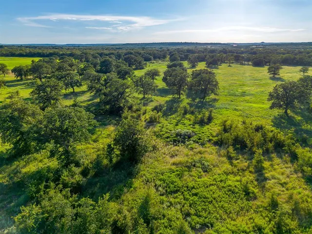 a view of a city with lots of trees