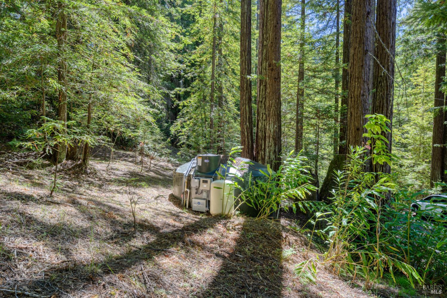 16500 Bittner Road Occidental, CA 95465 - Photo 68 of 75 Gallery Image 68