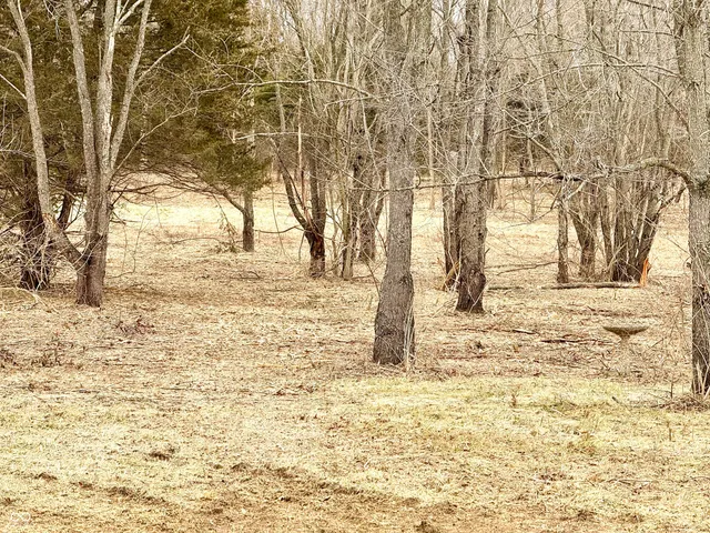 $329,000 | 308 Center Street, Linden, IN 47955