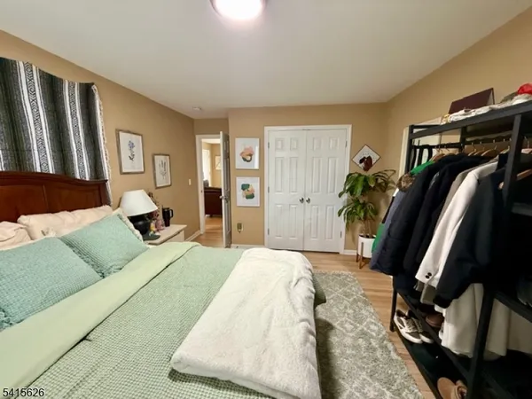 a bedroom with a bed and walk in closet