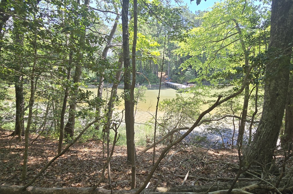 Lot B4 Saltworks Road, Unit B Exmore, VA 23350 - Photo 5 of 11