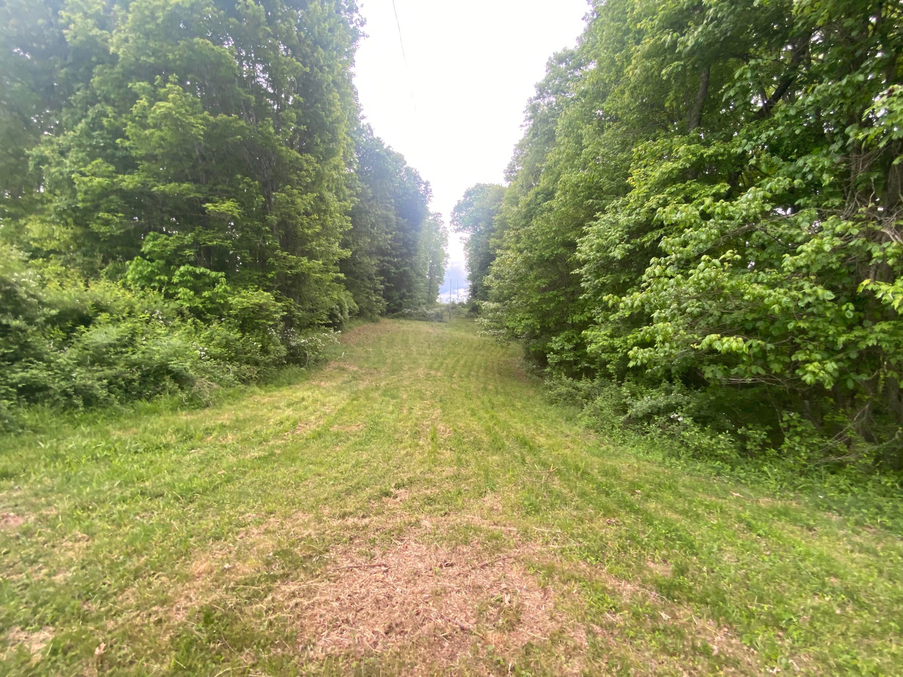 254 Tanyard Road Smoot, WV 24977 - Photo 71 of 84 Gallery Image 71