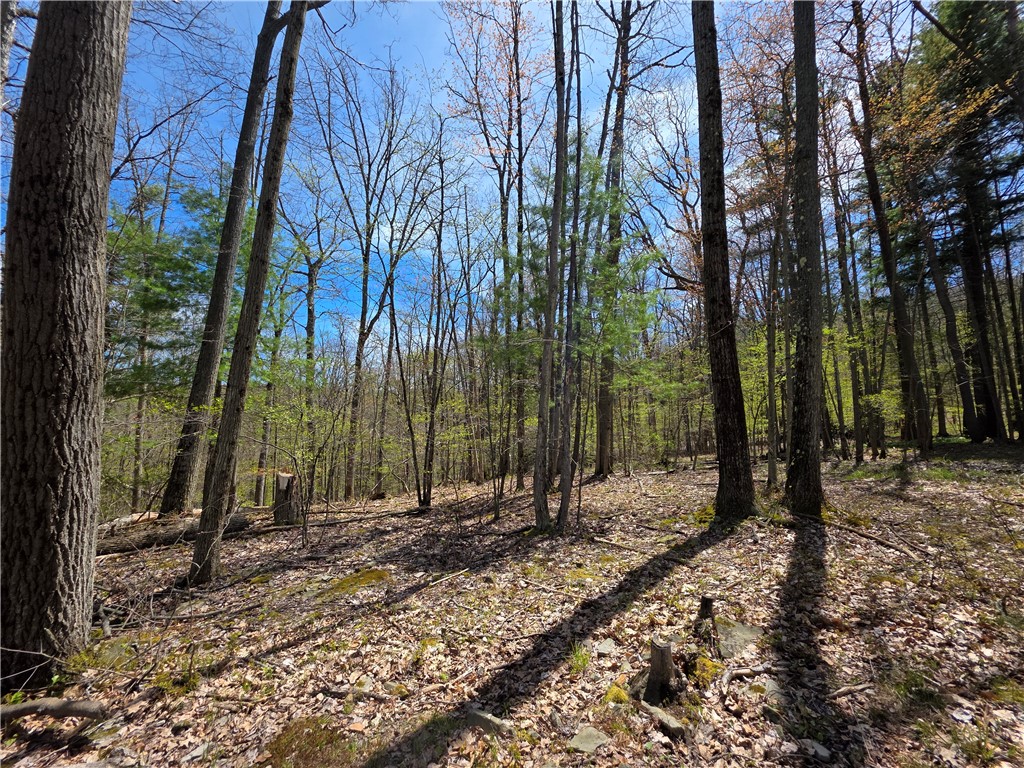 4408 Bush Hill Road Canisteo, NY 14823 - Photo 28 of 35