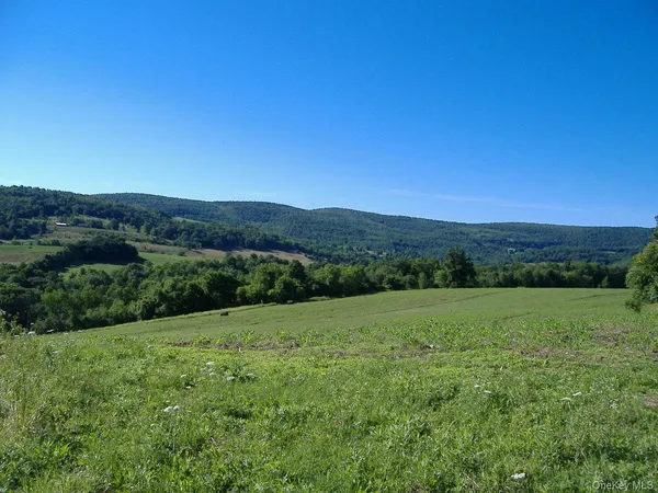 a view of grassy field with mountain in the background