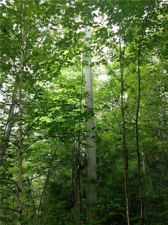 53 Ferrin Road Litchfield, ME 04350 - Photo 22 of 35 Photo