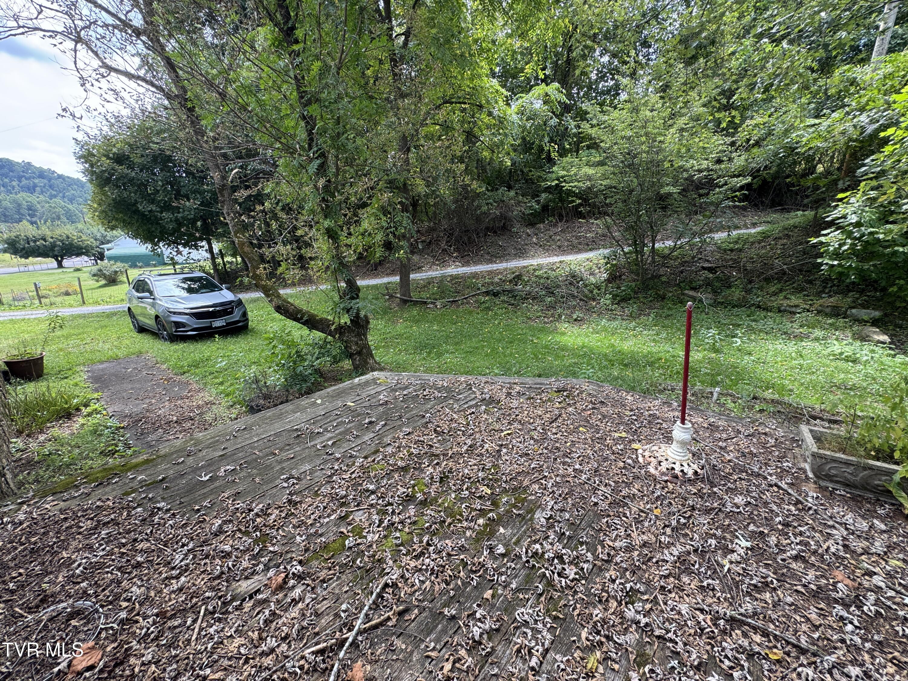 6525 Cherokee Road Wise, VA 24293 - Photo 8 of 29 YARD AND DRIVEWAY