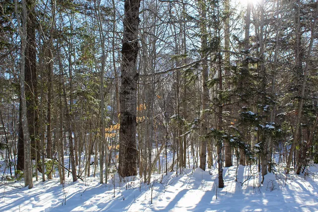 $539,000 | 2549 Trout Brook Lane, Unit 2549, Carrabassett Valley, ME 04947