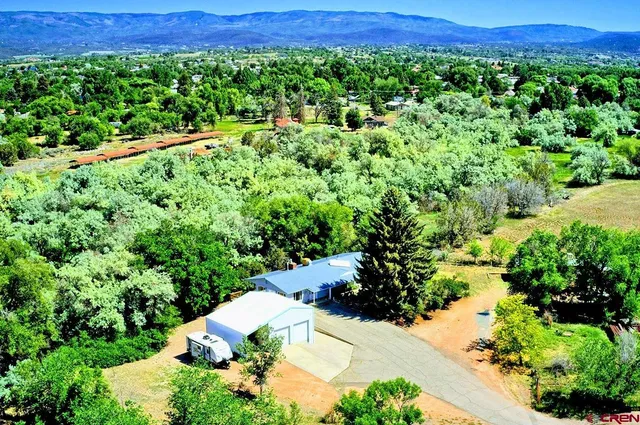 a view of a back yard with green space