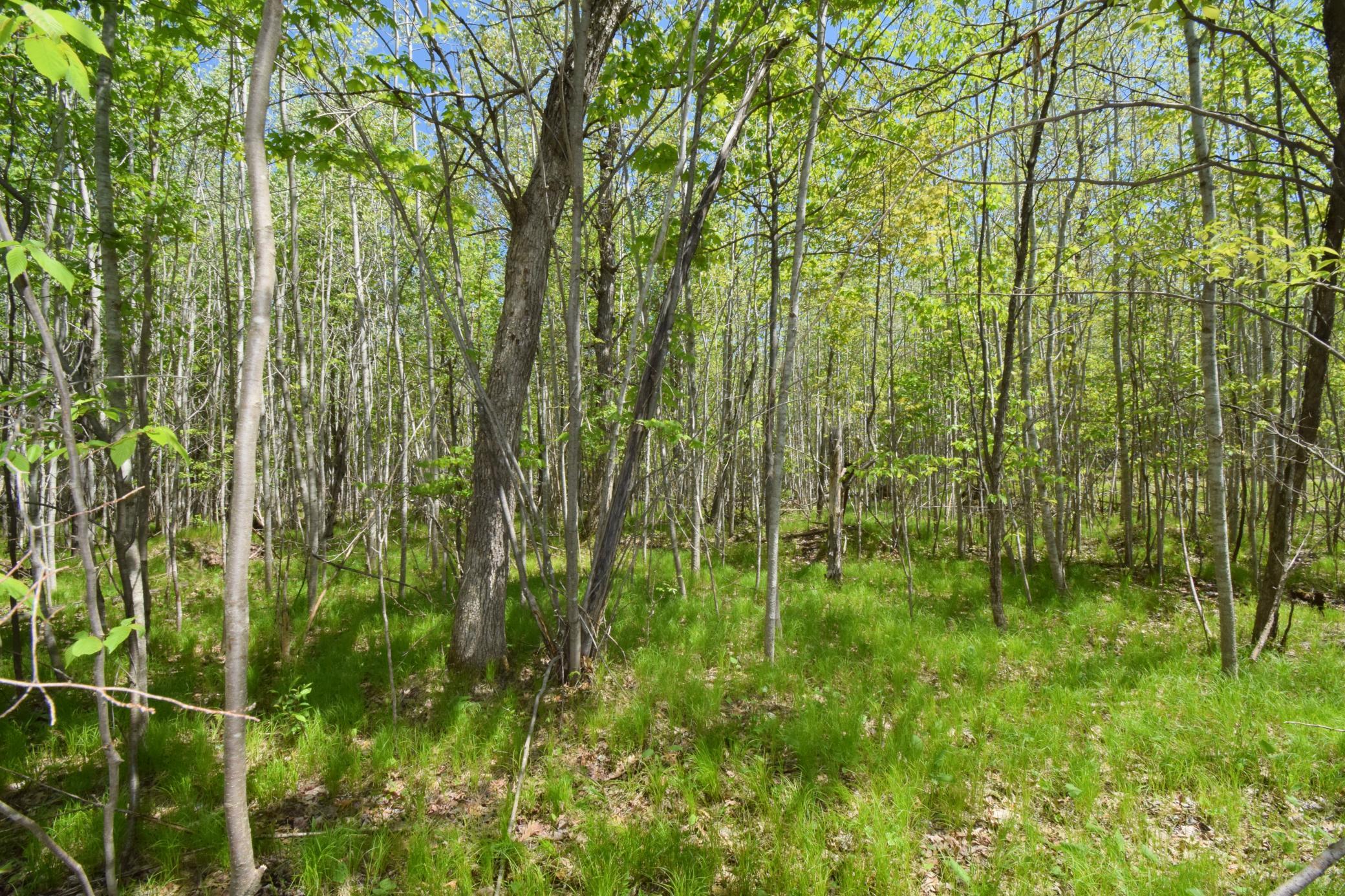 Lot 10 Fremsted Road Danbury, WI 54830 - Photo 28 of 28