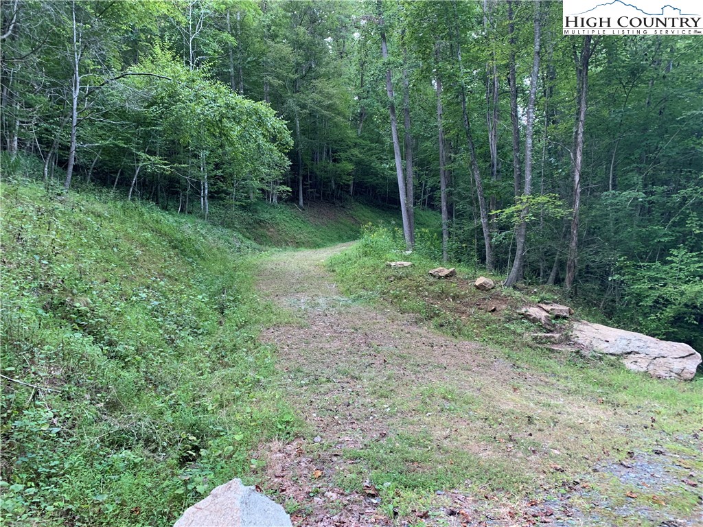 Powder Horn Mountain Road Deep Gap, NC 28618 - Photo 2 of 10 a view of green field with trees in background