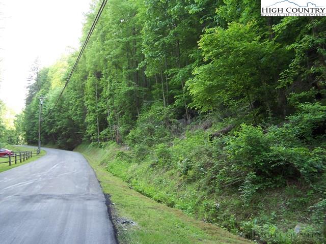 Powder Horn Mountain Road Deep Gap, NC 28618 - Photo 3 of 10 a view of a pathway both side of building