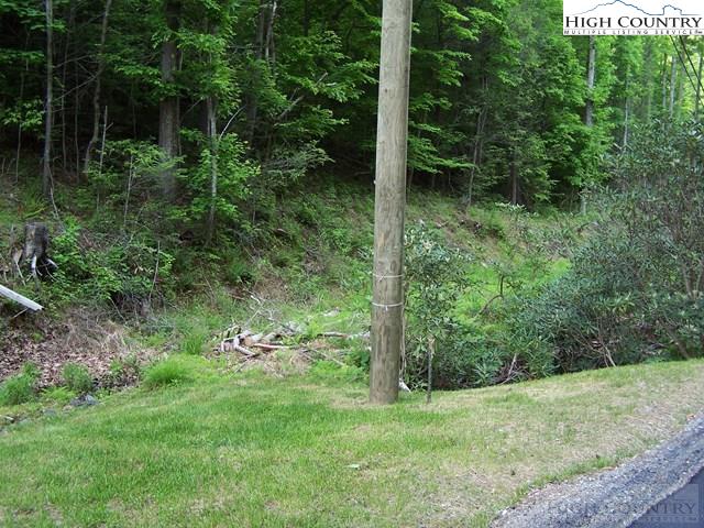 Powder Horn Mountain Road Deep Gap, NC 28618 - Photo 6 of 10 a view of a lush green forest