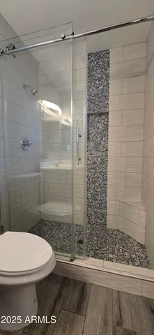 a bathroom with a toilet and a shower