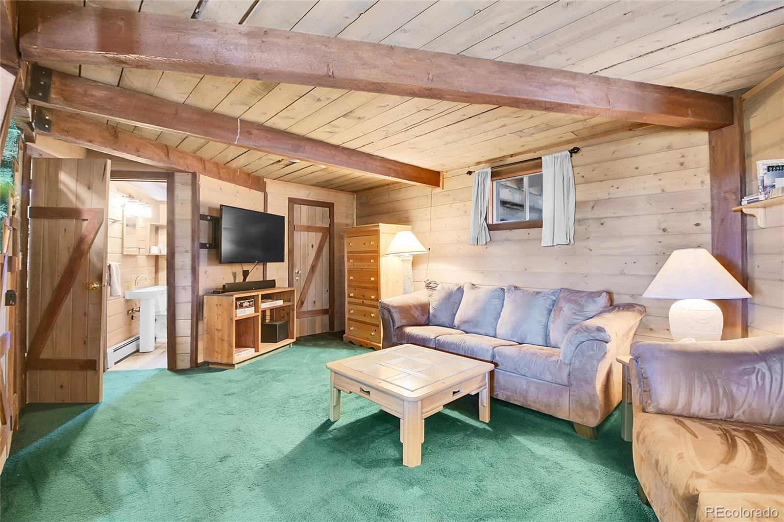 693 Rd C Pine, CO 80470 - Photo 25 of 48 Gallery Image 25