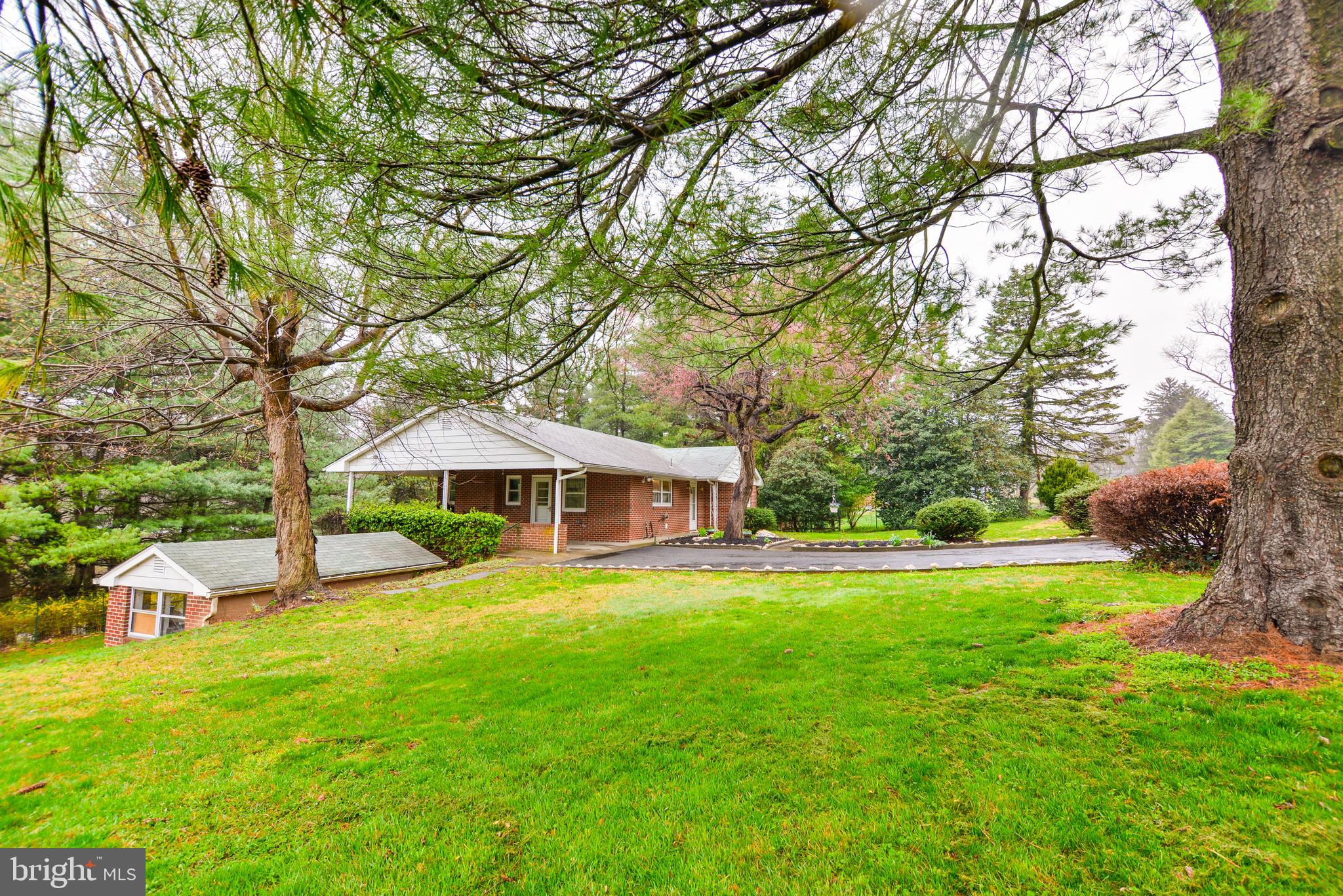 6914 North Clifton Road Frederick, MD 21702 - Photo 2 of 50 Beautiful trees in front yard