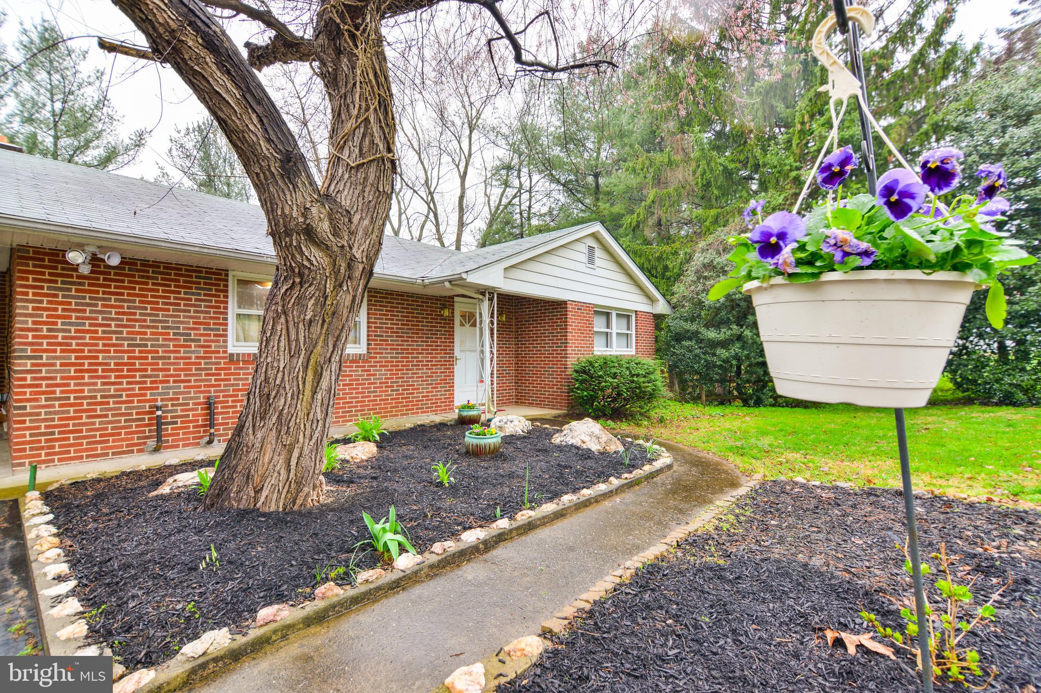6914 North Clifton Road Frederick, MD 21702 - Photo 8 of 50 Front flowerbeds are ready for Spring!