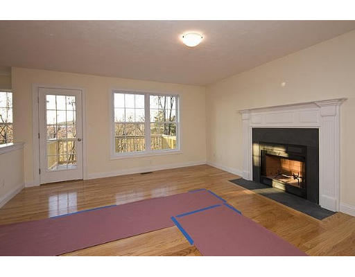 183 Florence Road Waltham, MA 02453 - Photo 6 of 18 a living room with furniture and a fireplace