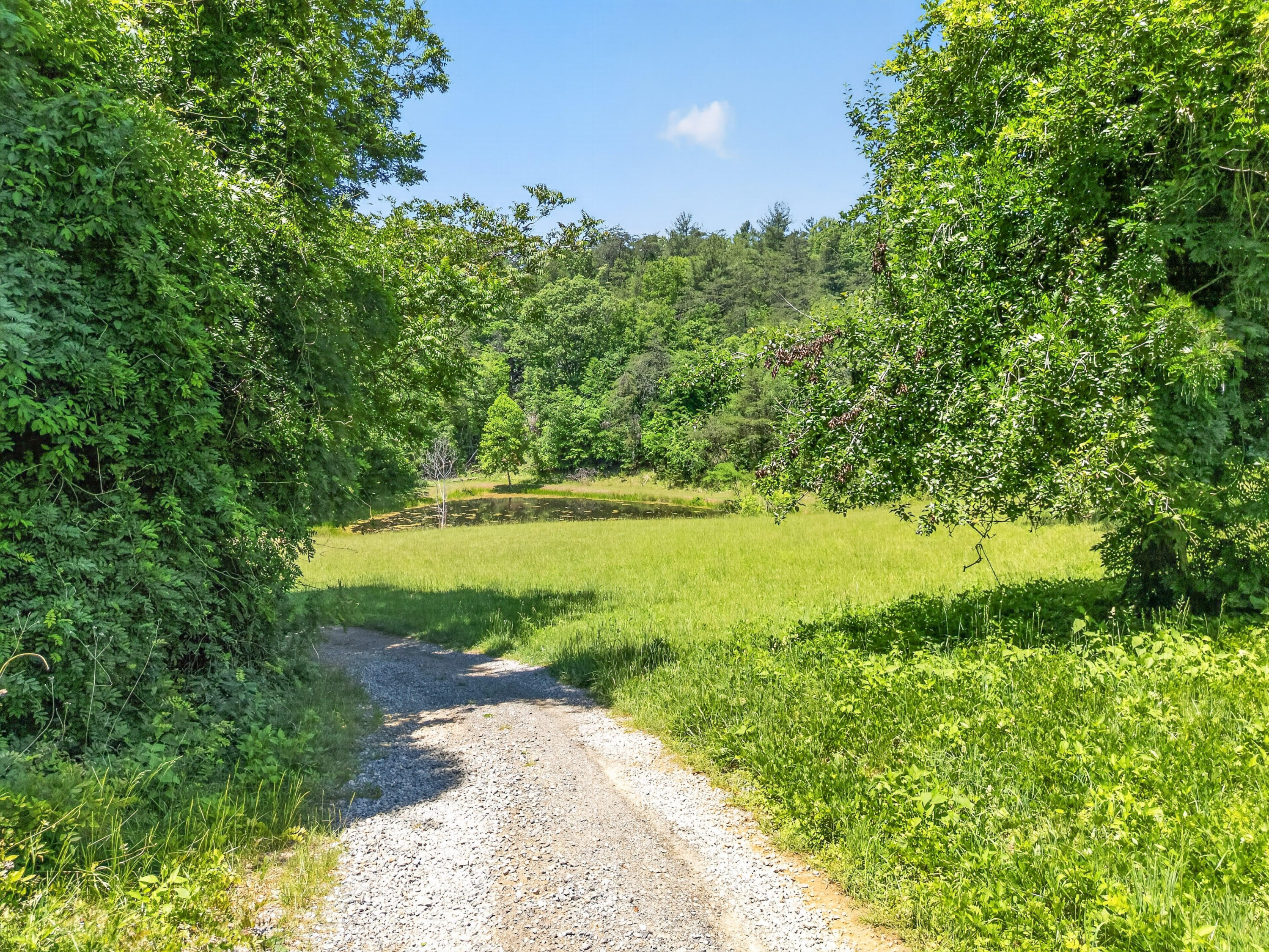 Lot 30 River Rock Road Vinton, VA 24179 - Photo 43 of 49 Vinton-51