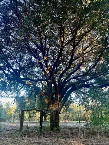 $91,900 | 0 Tate Road, Kinder, LA 70648