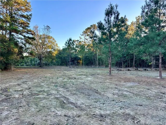$91,900 | 0 Tate Road, Kinder, LA 70648