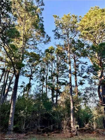 $91,900 | 0 Tate Road, Kinder, LA 70648