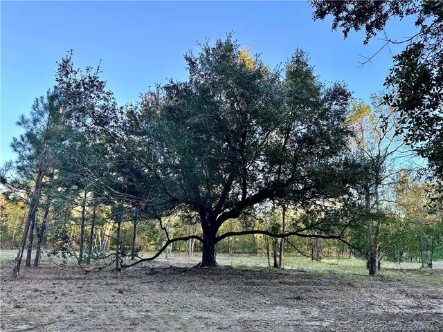 $91,900 | 0 Tate Road, Kinder, LA 70648