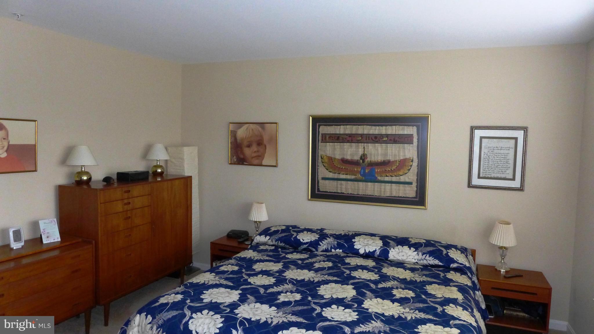 600 Wild Hunt Road Frederick, MD 21703 - Photo 11 of 23 Bedroom (Master)