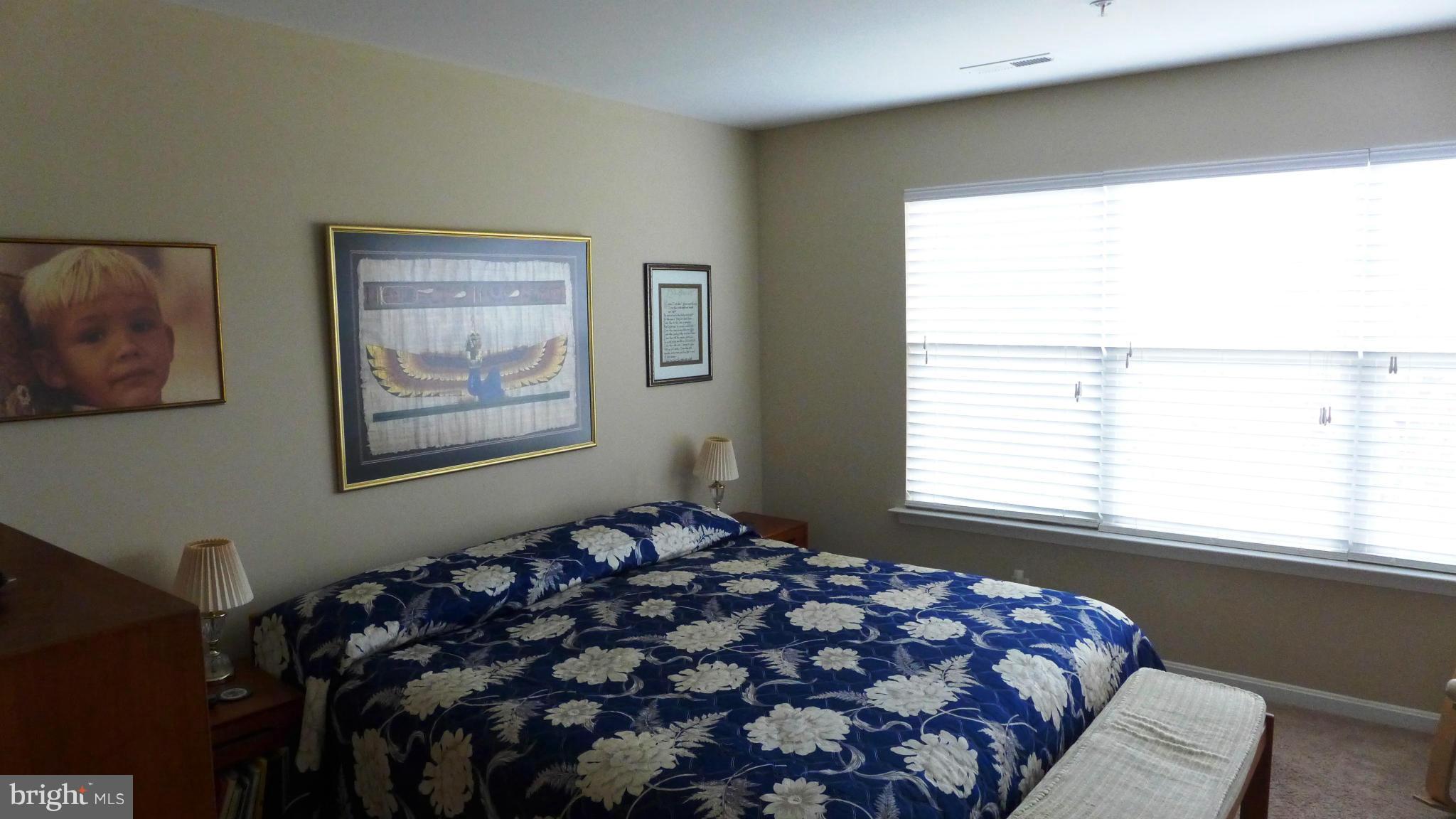 600 Wild Hunt Road Frederick, MD 21703 - Photo 10 of 23 Bedroom (Master)