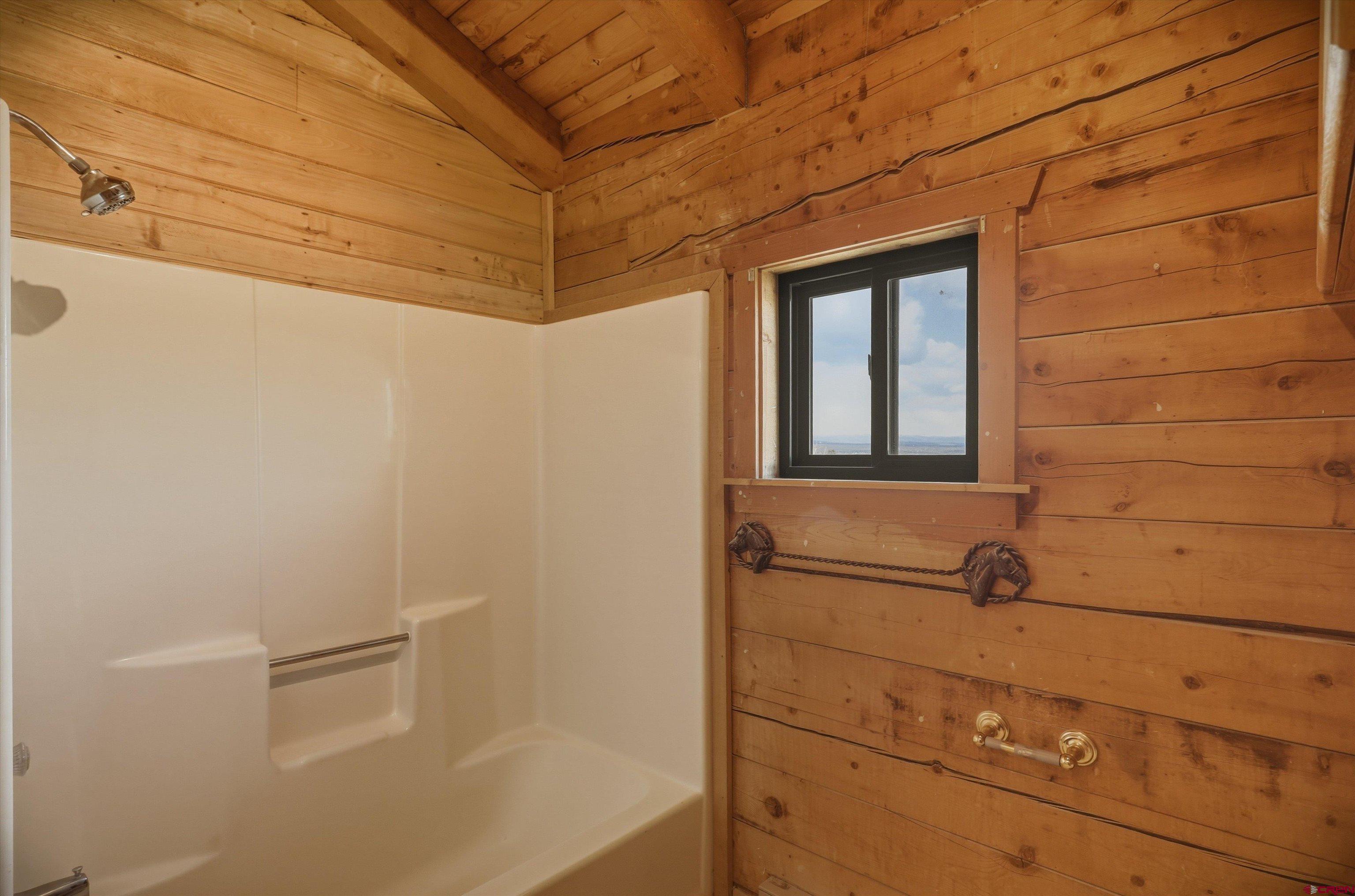 50 Rifle Place Pagosa Springs, CO 81147 - Photo 29 of 45