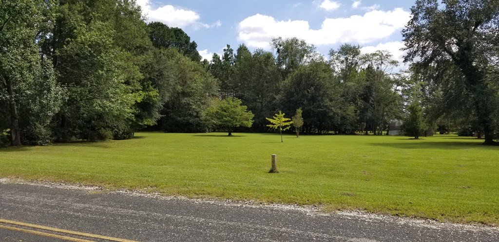 1210 Craig Road Sumter, SC 29153 - Photo 2 of 60 Gallery Image 2