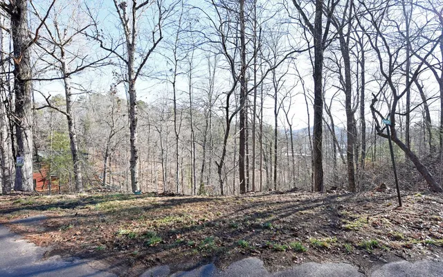 $89,900 | 0 Frank Lane, Murphy, NC 28906