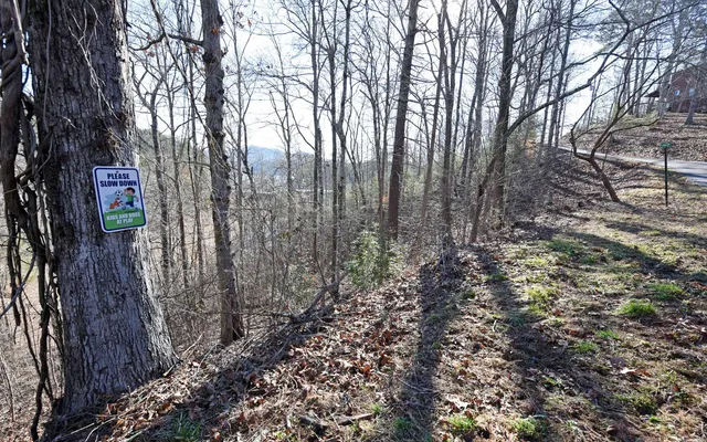 $89,900 | 0 Frank Lane, Murphy, NC 28906